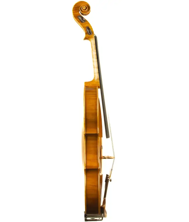  - Image 5