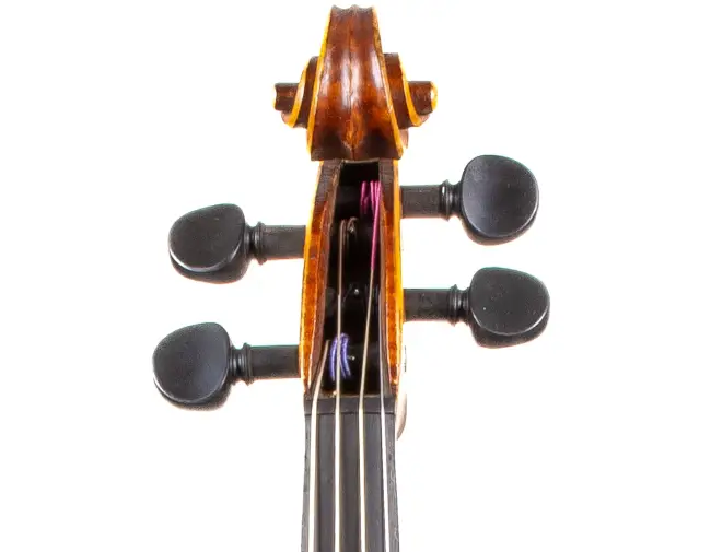  - Image 2