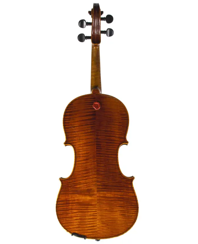  - Image 7