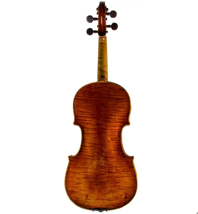  - Image 7