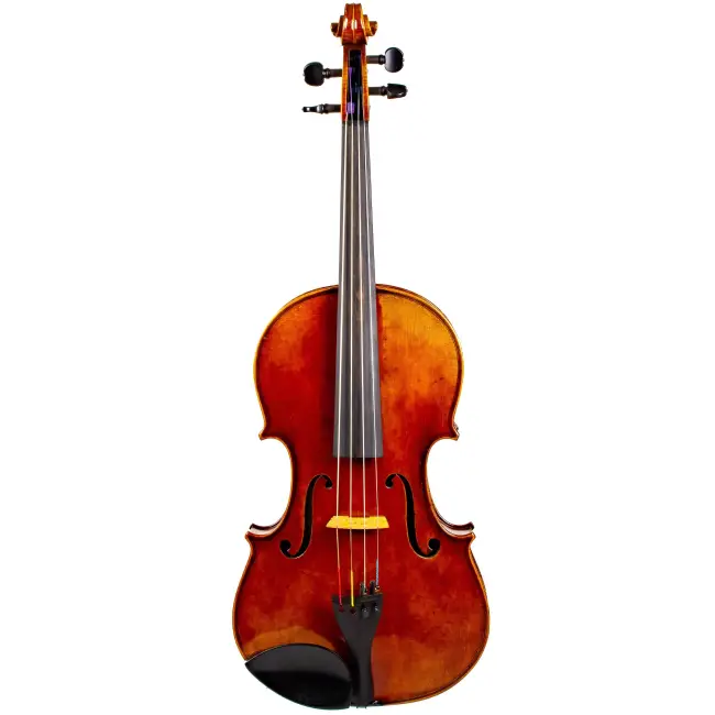 16" Viola By Jay Haide 2020 - Cover Image