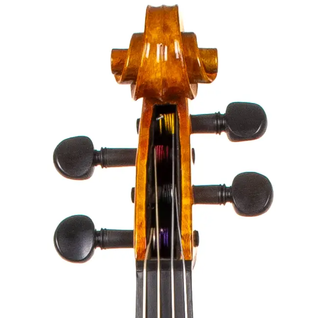  - Image 2