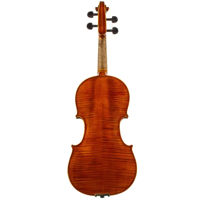  - Image 7