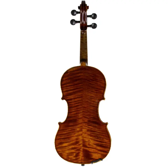  - Image 7