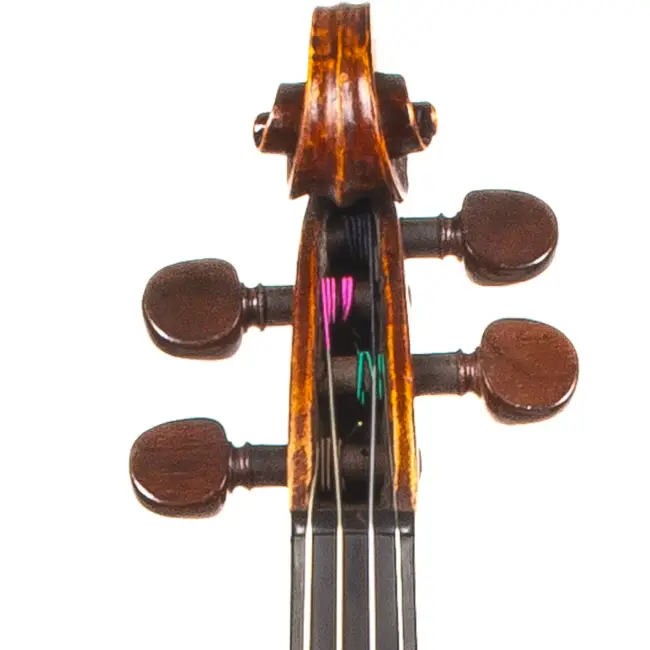  - Image 2