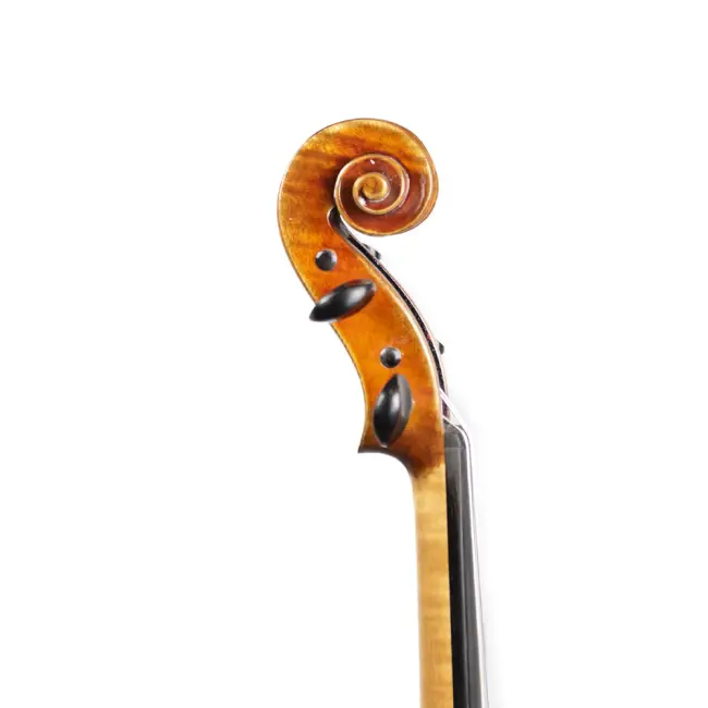  - Image 2